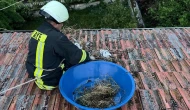 Fırtına Leylek Yuvasını Sürükledi