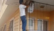 Korkusuz Arıcı: Yüzlerce Arının Arasına Çıplak Elle Girdi