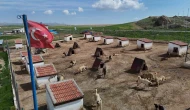 Anadolu Aslanları Yurt Dışında