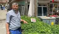 Bahar Gelince Fideler Tezgahları Süslüyor