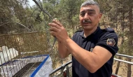 Minik Kaçış Büyük Operasyon