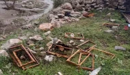 Ayıların Saldırısı Develi’de Arıcılığı Zarar Etti