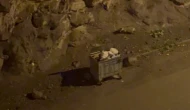 Geceyi kurtlar bastı