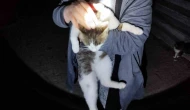 İtfaiyeden Kedi Mesaisi