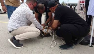 Pitbull Etkinlik Alanında Dehşet Saçtı