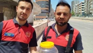 Şanlıurfa’da Evin Mutfak Bölümünde Görülen Yılan Doğaya Salındı