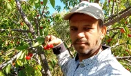 Düşük Verime Yüksek Fiyat Dengesi