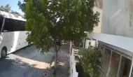 Otobüs şoförü sokak köpeğini ezdi