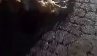 Otomobil Küçükbaş Sürüye Çarptı: 10 Hayvan Öldü