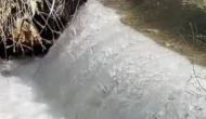 Akıntıya Karşı Hayat Mücadelesi
