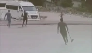 Köpekler Çocuğa Saldırdı
