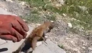 Gider Borusuna Sıkışan Kediye İtfaiye Müdahalesi