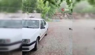 Dolu, Bahçeleri Beyaza Bürüdü