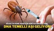 Sivas’ta Kene Aşısı İçin Geri Sayım Başladı! DNA Temelli Aşı Geliyor!
