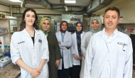 Kenesavar Losyon: Kene Tehlikesine Bitkisel Çözüm