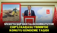 Sivas’ta Şap Hastalığı Korkutuyor: CHP'li Karasu TBMM'de Konuyu Gündeme Taşıdı