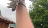 Atmacasına 8 Yıl Bakıp Doğaya Bıraktı