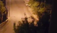 Ankara'da Sokakta Gezen Ayı Kameraya Yansıdı