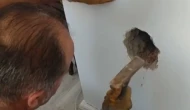 Sivas’ta Bacada Mahsur Kalan Kedi Kurtarıldı