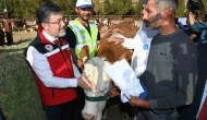 Bakan Yumaklı Kurban Bayramı’nda 3,3 Milyon Hayvan Kesildi