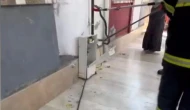 Doğal Gaz Kutusunda Yılan Paniği
