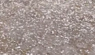 Edirne'de Ani Dolu Yağışı Tarım Arazilerine Zarar Verdi