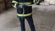 Eve Giren Yılan İtfaiyeyi Alarm Verdi