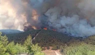 Orman Yangınına 11 Uçak ve 13 Helikopterle Müdahale
