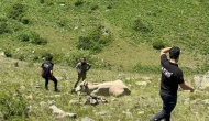 AFAD, Mahsur Kalan İneği 1 Saatte Kurtardı