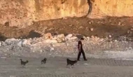Köpeklerin Saldırısına Karşı Soğukkanlılık Örneği