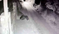 Ayı Bahçe Kapısını Açtı Güvenlik Kamerasına Yansıdı