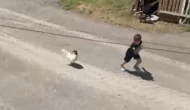Horoz Minik Ömer’i Kovaladı