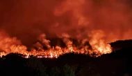 Sakarya'da Orman Yangını Devam Ediyor: 100 Kişi Tahliye Edildi!