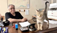 Anne Kediden Duygulandıran Taşıma