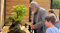 Türkiye'nin İlk Bonsai Müzesi Bayramda Ziyaretçi Akınına Uğradı!