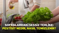 Sofralardaki Sessiz Tehlike: Pestisit Nedir, Nasıl Temizlenir?