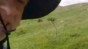 Mantar Toplamaya Çıktı Tilkiyle Arkadaş Oldu