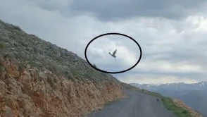 Kartalın Süzülen Zaferi