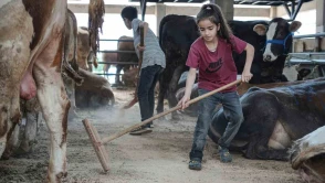 Kurban Pazarı’nda Küçük Yaşta Büyük Sorumluluk