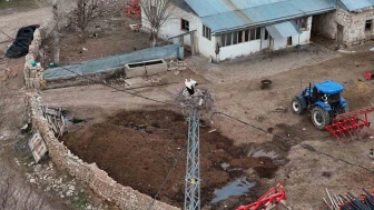 Sivas’taki ‘Leylekli Köy’ Baharı Müjdeledi