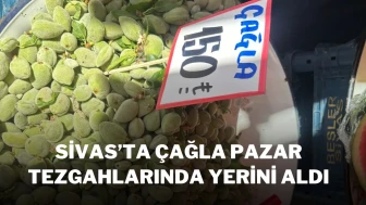 Sivas’ta Çağla Pazar Tezgahlarında Yerini Aldı