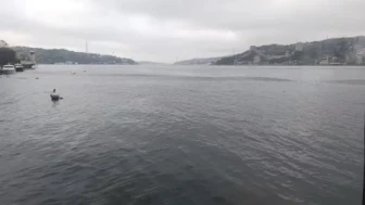 İstanbul'da 6,2 Büyüklüğündeki Deprem Boğaz'da Dalgalanmalara Neden Oldu