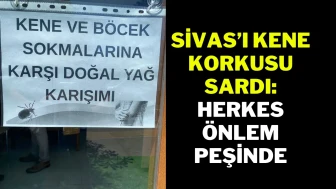 Sivas'ı Kene Korkusu Sardı! Herkes Önlem Peşinde