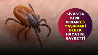 Sivas’ta Kene Isıran 1,5 Yaşındaki Bebek Hayatını Kaybetti