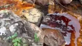 Sivas'ta Kırmızı Akan Dere Panik Yarattı! Gerçek Ortaya Çıktı