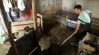 Sivas’ta Köylerde Tezek Mesaisi Sürüyor