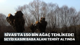 Sivas'ta 150 Bin Ağaç Tehlikede!  Seyid Kasım Baba Alanı Tehdit Altında