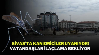 Sivas'ta Kan Emiciler Uyanıyor! Vatandaşlar İlaçlama Bekliyor