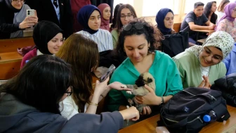 Sivas Cumhuriyet Üniversitesi'nde Hayvan Haklarına Dikkat Çeken Söyleşi
