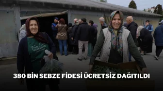 380 Bin Sebze Fidesi Ücretsiz Dağıtıldı